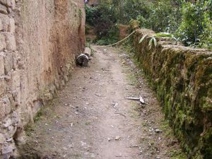 小良子村 小良子村
