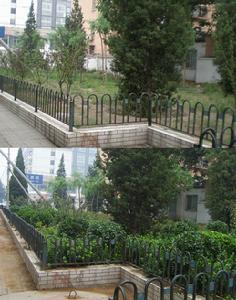 （圖）鴨子橋社區改造新舊對比