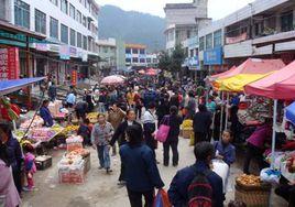 金屋塘鎮 金屋塘鎮
