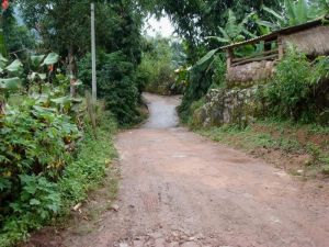 白老新寨自然村 白老新寨自然村