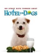 Friday（星期五）