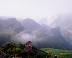 水城野鍾黑葉猴保護區 水城野鍾黑葉猴保護區