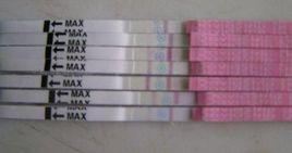 排卵試紙水印 排卵試紙水印