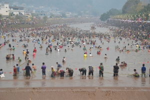 孟連神魚節 孟連神魚節