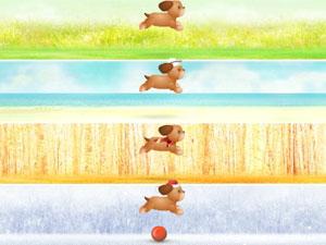 四季小狗 四季小狗