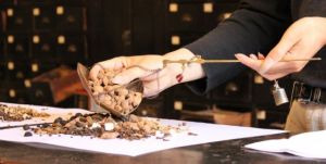 舒頸扶正湯 舒頸扶正湯