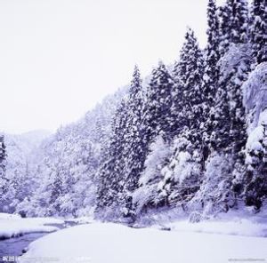 冬景圖 冬景圖
