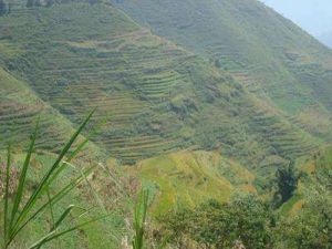 溝壩自然村 溝壩自然村