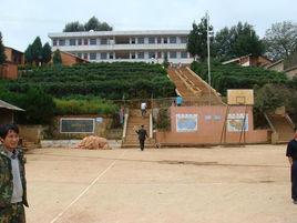 新田村[雲南省尋甸縣金所鄉新田村]