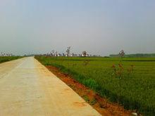 臥陽崗社區遠景