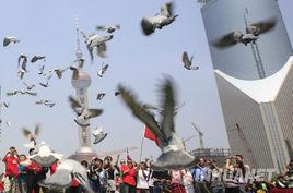 戰略使命 戰略使命