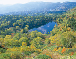 八幡平溫泉鄉 八幡平溫泉鄉