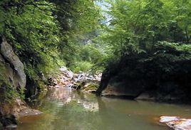 陝西省隴縣龍門洞森林公園 陝西省隴縣龍門洞森林公園