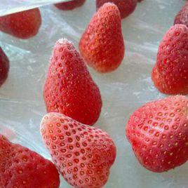凍草莓 凍草莓