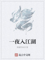 一夜入江湖 一夜入江湖
