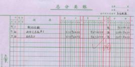 總分類賬 總分類賬