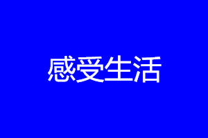 感受生活 感受生活