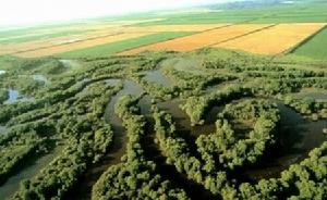 沖積平原 沖積平原