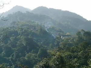 花打白村 花打白村