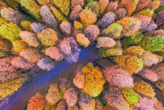 未來2個月國內最美自駕聖地曝光,錯過又要等一年!