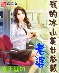 我的冰山美女總裁老婆 我的冰山美女總裁老婆