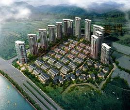 新大陸壹號 新大陸壹號