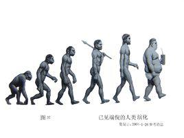 高級動物[漢語詞語]