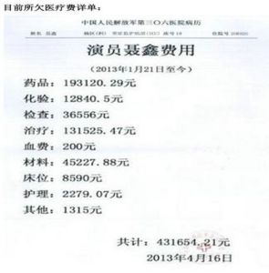 網路曝光的聶鑫醫療費用單