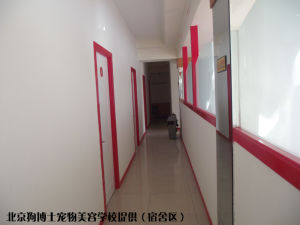 狗博士寵物美容學校 宿舍走廊