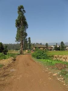 崔家營村[雲南宜良縣南羊鎮下轄村]