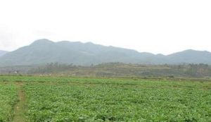 王官廠二村 王官廠二村