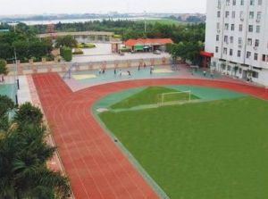 佛山市南海中學沙頭分校運動場