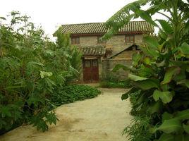 前進村[雲南蒙自縣草壩鎮前進村]