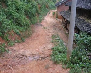 那養自然村 那養自然村