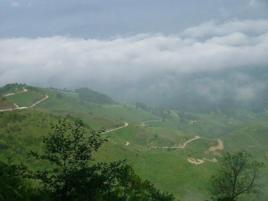 勐養鎮[雲南省梁河縣勐養鎮]