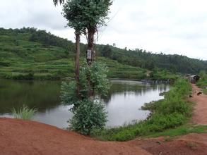 文家營村 文家營村