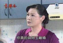 楊淑珍[《意難忘》中的人物]