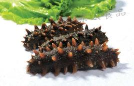 半乾海參 半乾海參