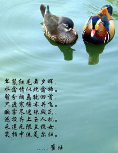 和友人鴛鴦之什 和友人鴛鴦之什