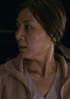 中國人[成龍主演的電影]