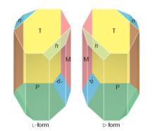 Drawings of tartaric acid crystals