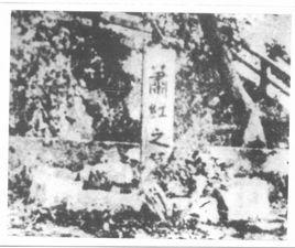 在蕭紅墓前的五分鐘講演 在蕭紅墓前的五分鐘講演