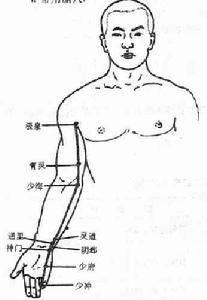 手少陰心經穴位