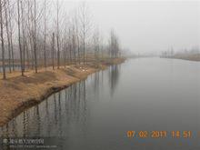 楊莊[河南省商丘市夏邑縣地名]