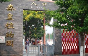 秦皇植物園 秦皇植物園