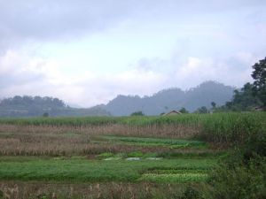 那榮壩三自然村 那榮壩三自然村