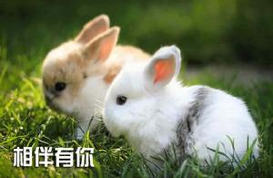 給圖片加文字 給圖片加文字