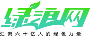 綠浪網 綠浪網