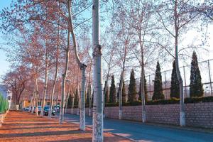 山東財經大學實踐本科校企合作 山東財經大學實踐本科校企合作