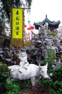 杏花村[山西省汾陽市杏花村]